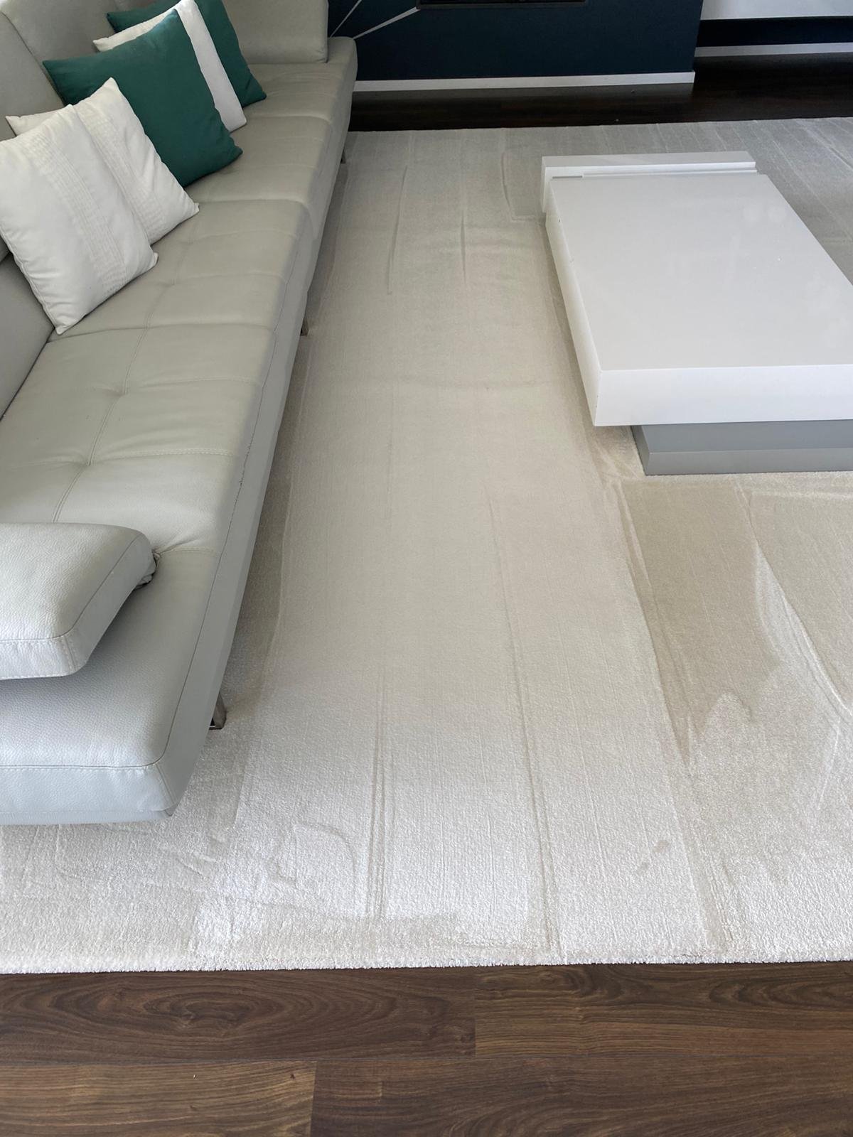 Imagem do WhatsApp de 2025-07-27 à(s) 13.13.46_61f35849